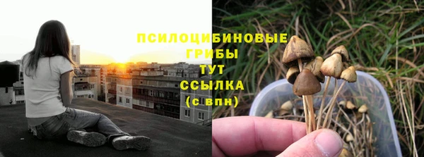 мдпв Бугульма