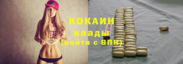 мдпв Бугульма
