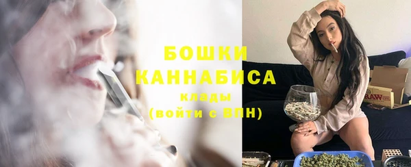 стаф Бронницы