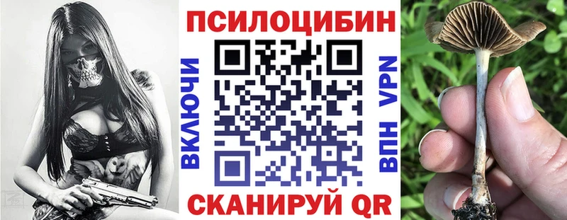 дарк нет какой сайт  Таганрог  Псилоцибиновые грибы MAGIC MUSHROOMS 